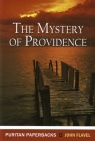 Mystery of Providence - Puritan Paperbacks